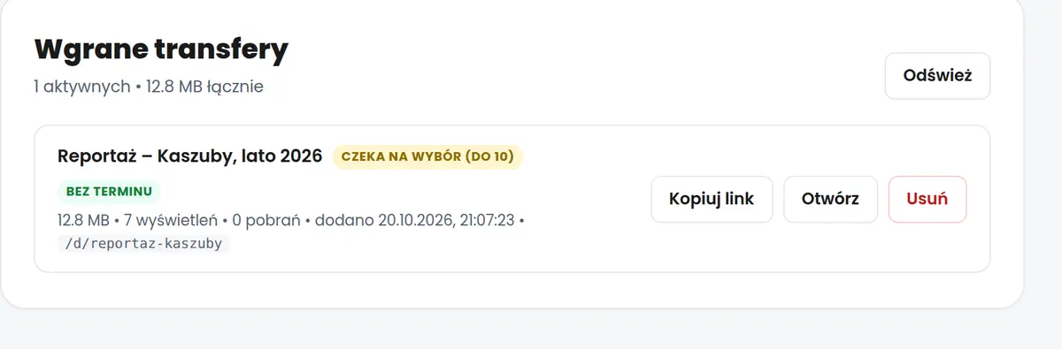 Lista galerii w panelu: ważność, wyświetlenia, pobrania, kopiowanie linku